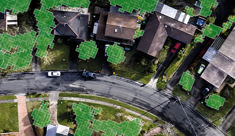 aerial shot of a suburb Tree coverage locations