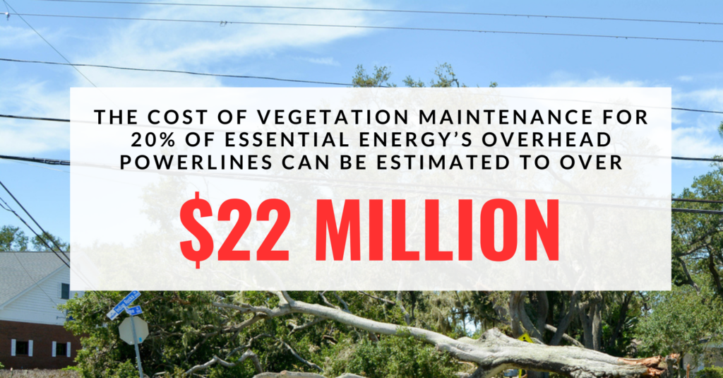 infographic about the cost of vegetation maintenance of 20% of overhead powerlines is 22 million