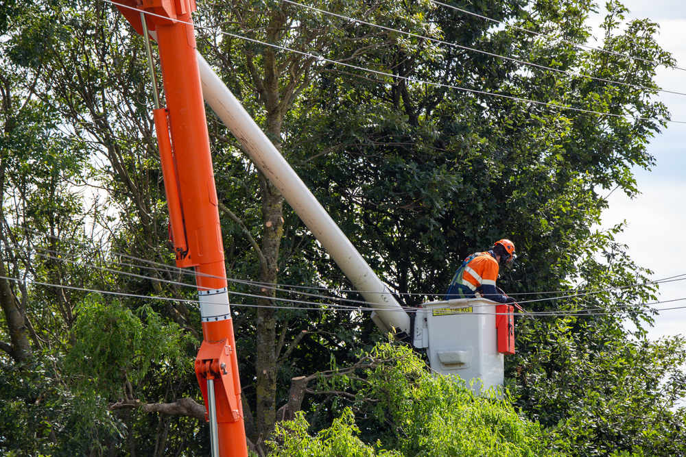 Man trimming trees using equipment near overhead powerlines